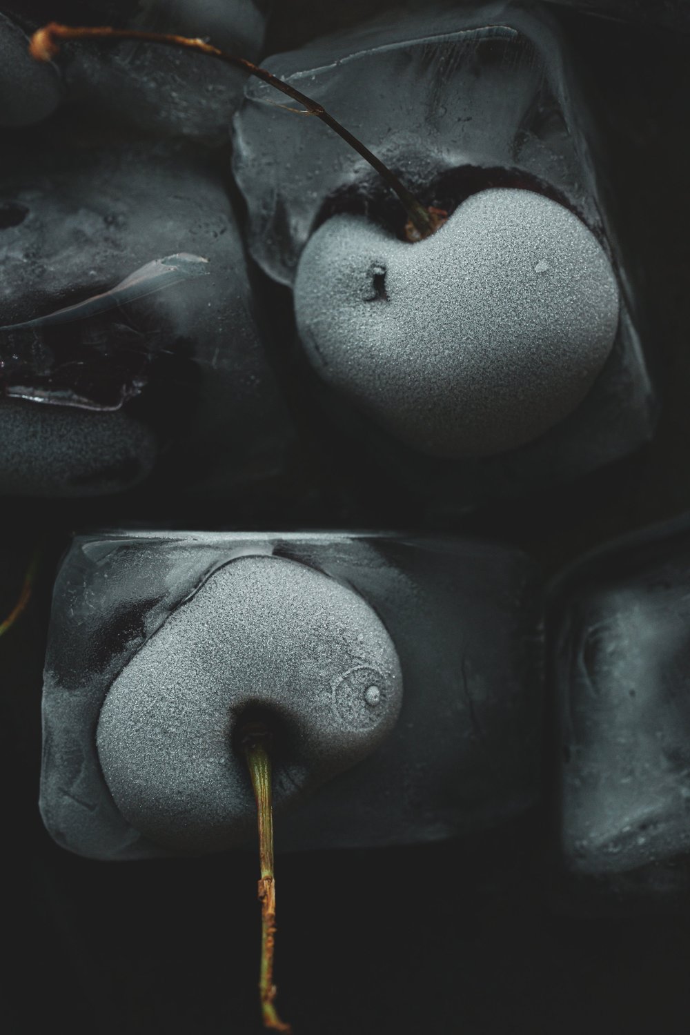 Food photography